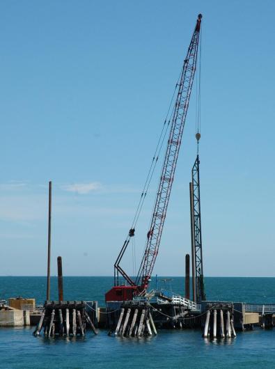 crane
