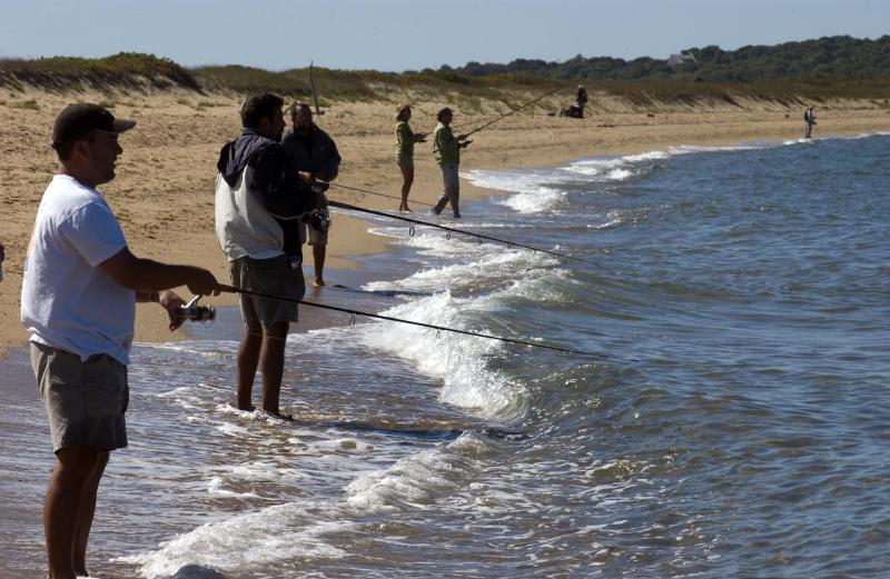 beach fishing