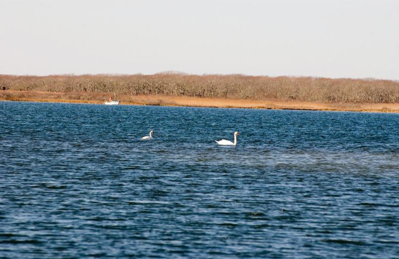 Edgartown Great Pond