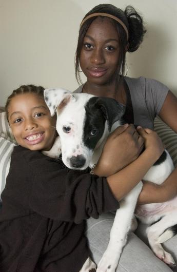 dog and children