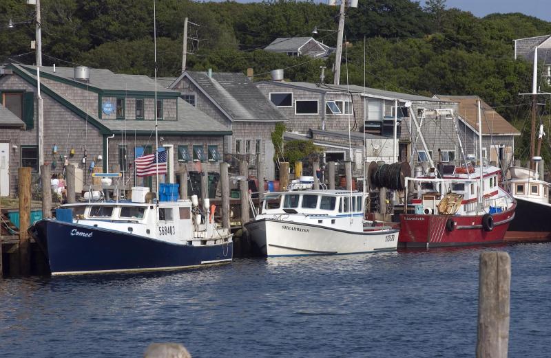 boats