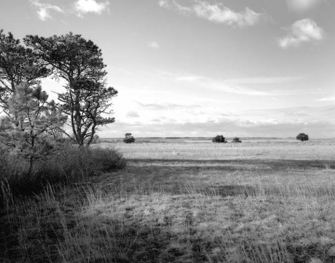 sandplain at Quansoo farm