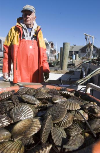 Dick Hathaway, scalloper