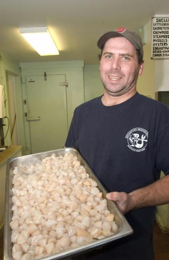 scallops
