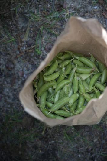 snow peas
