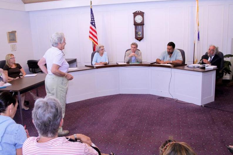 Janet Aldeborgh selectmen American flag