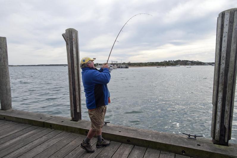 reeling it in