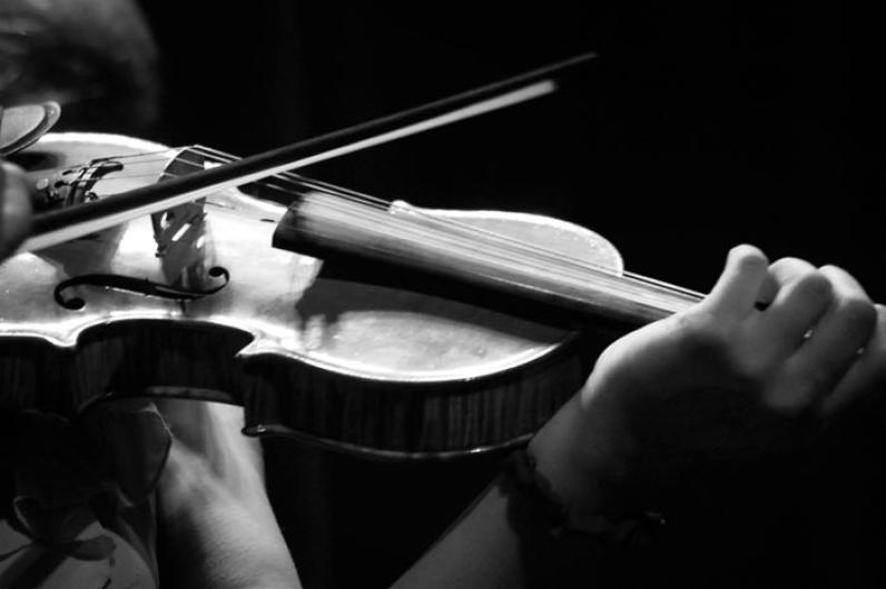violin