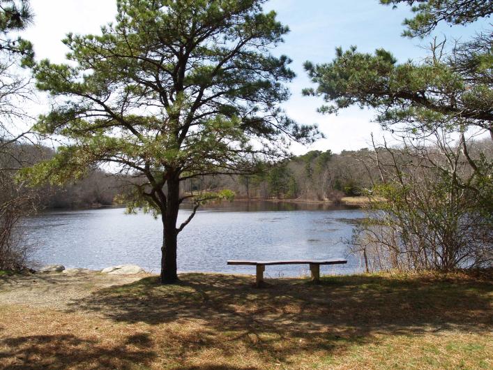 pond Duartes tree bench