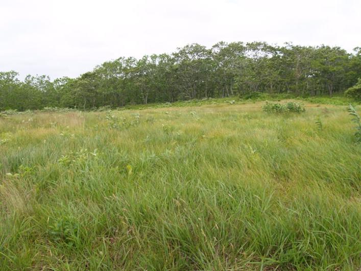 field pennywise preserve