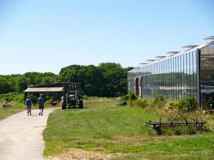 thimble farm