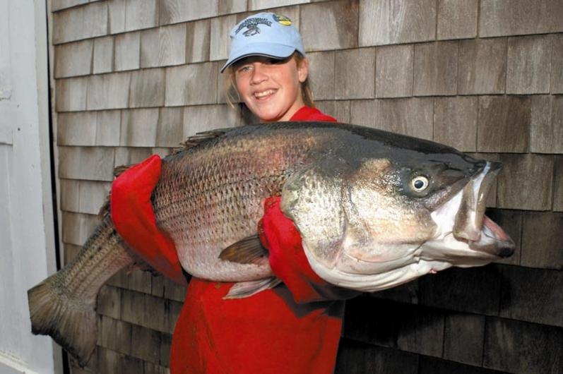 bass