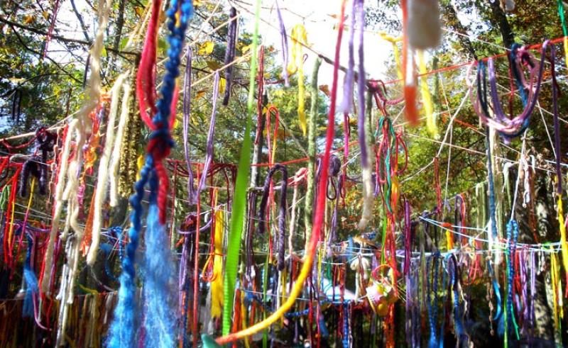 ribbons tree