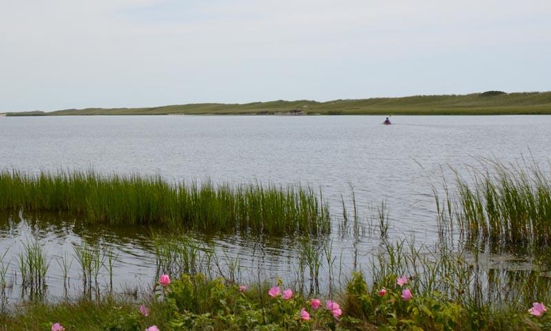 pond