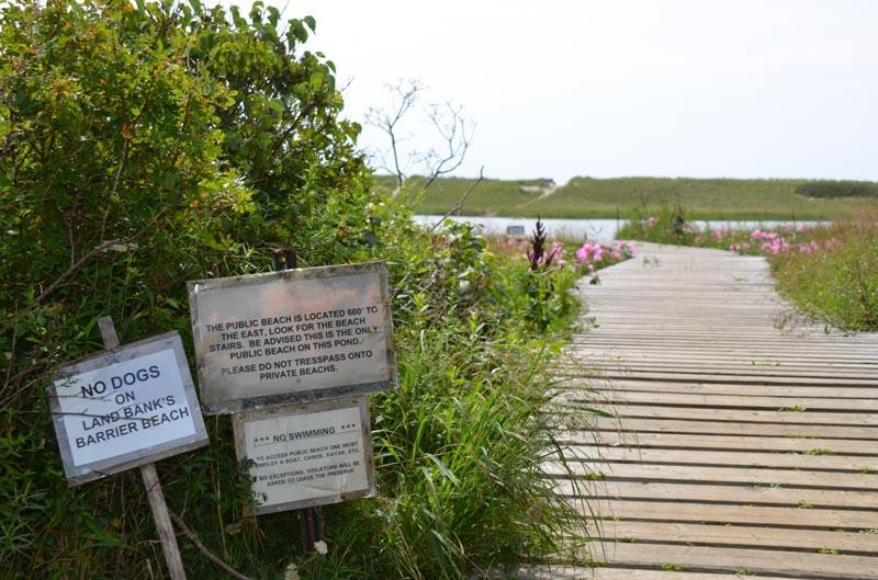 walkway