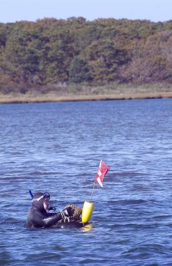diver