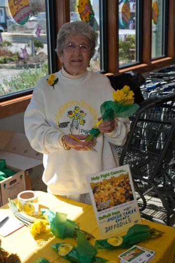 Dorothy Bangs daffodils
