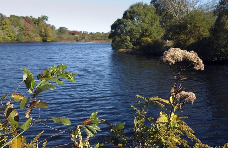 mil pond