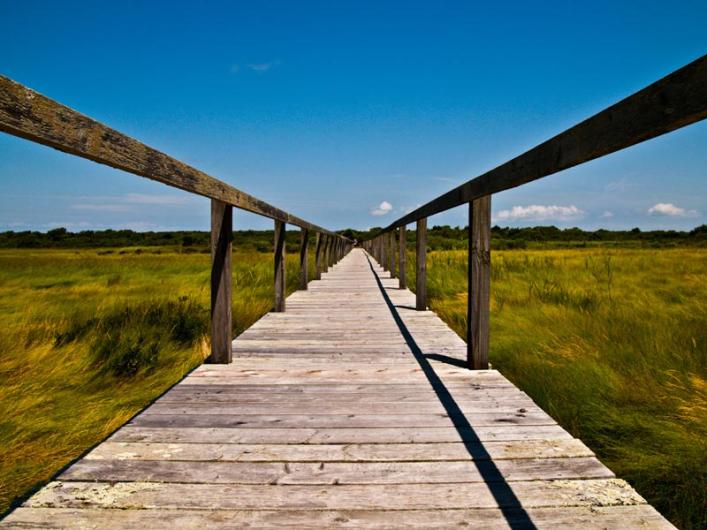 boardwalk