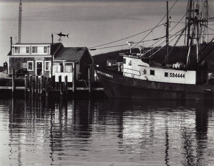 harbor