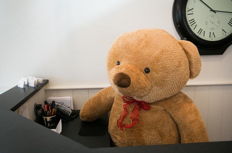 Edgar the bear works the busy holiday season greeting customers in the lobby of Point B Realty