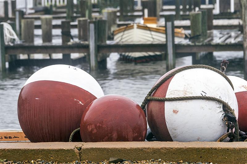 Edgartown harbor moorings