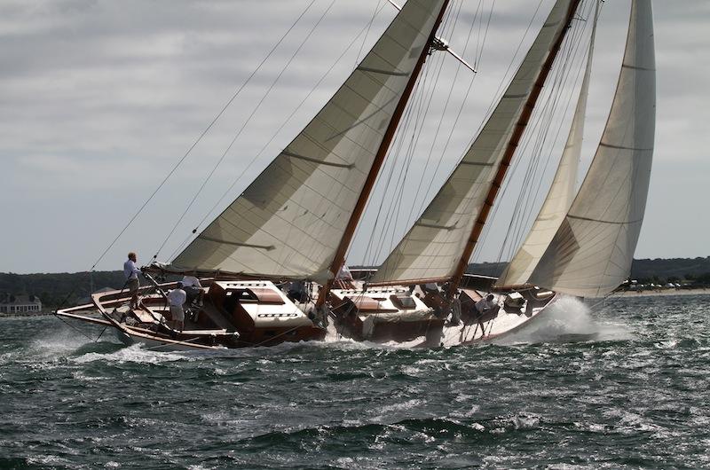 Juno sail boat