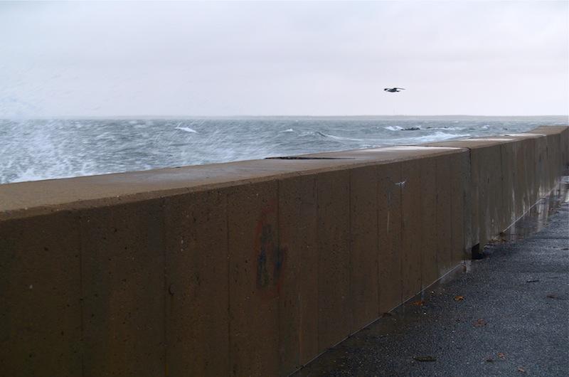 hurricanes, hurricane sandy, martha's vineyard