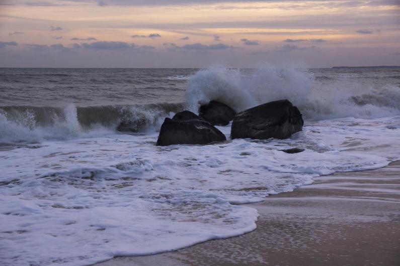 Lucy Vincent Beach, January