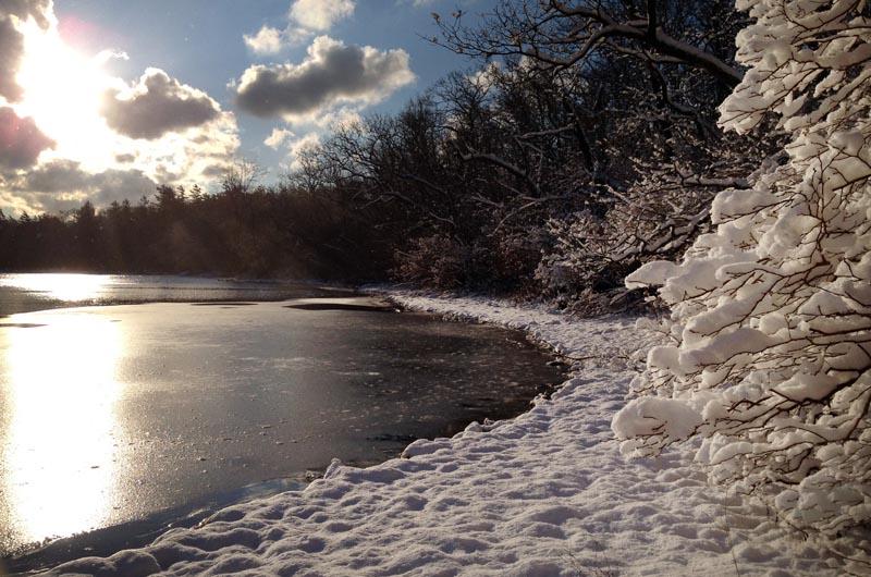 Ice House Pond, West Tisbury, Snow