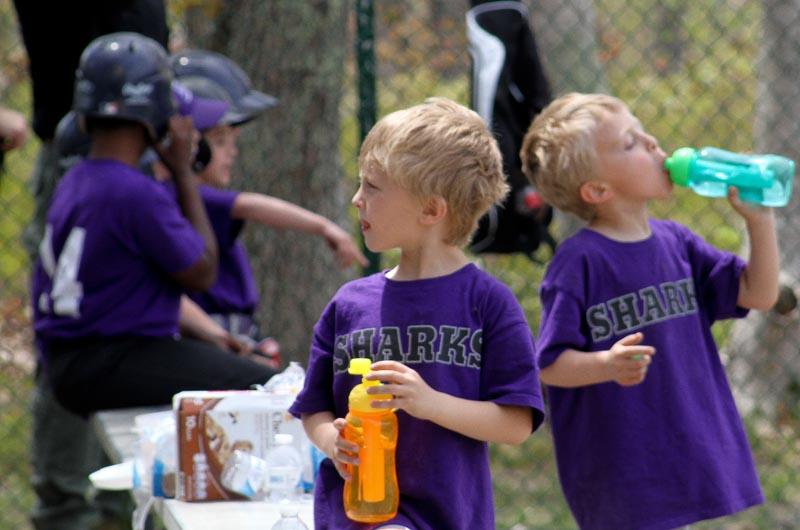 little league baseball