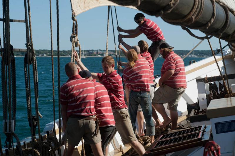 Tighten sail.