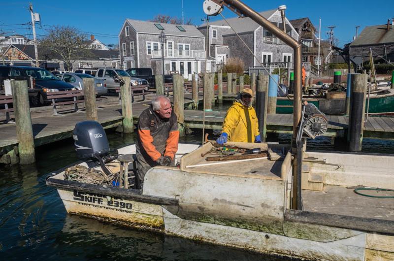 Oyster farmer Jack Blake and Danny Gilkes.