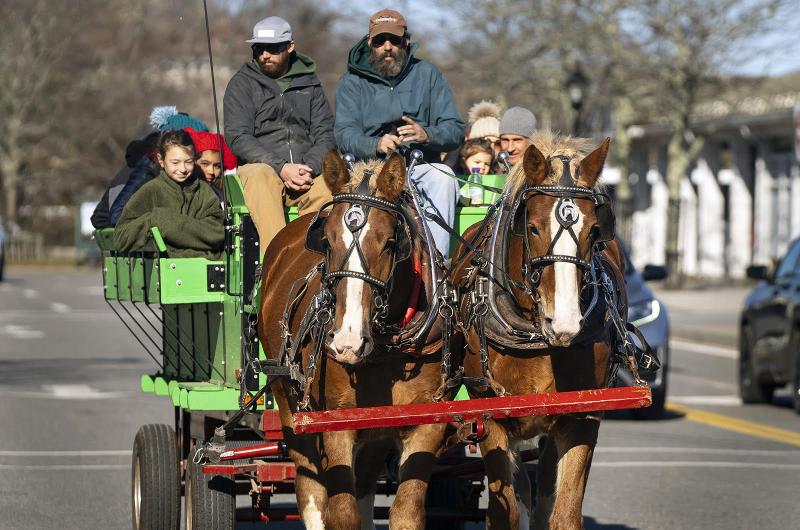 The horse knows the way to carry the sleigh.
