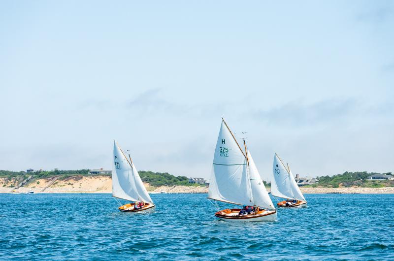 Herreschoff class practice race with North Neck bluffs behind.