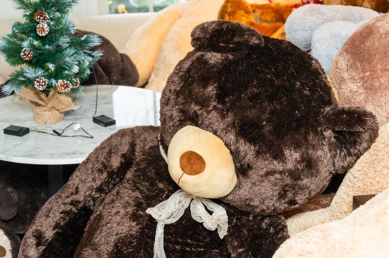 Each bear has its own name and personality.