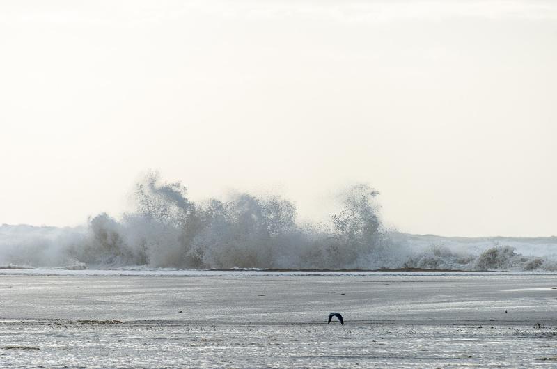 Water washing over the remnants of Norton Point beach into Katama Bay.