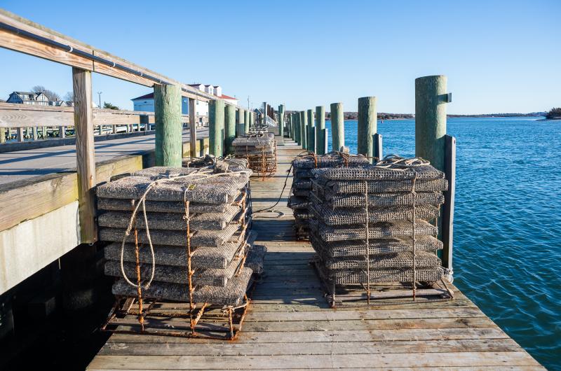 Oyster gear dries out in the sun.