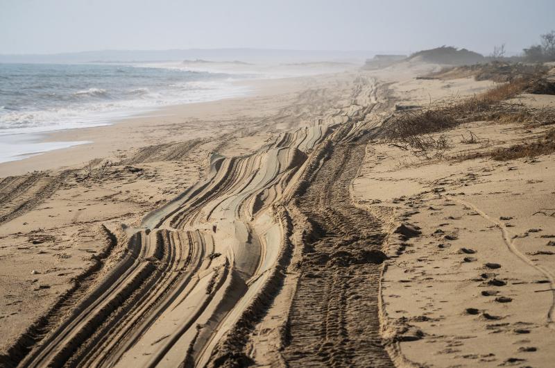 Tire tracks lead West from the Left Fork entrance.