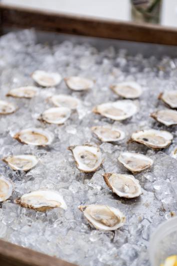 Cottage City Oysters.