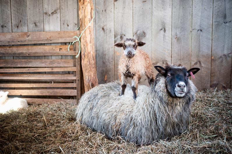 New mothers need a lot of patience.