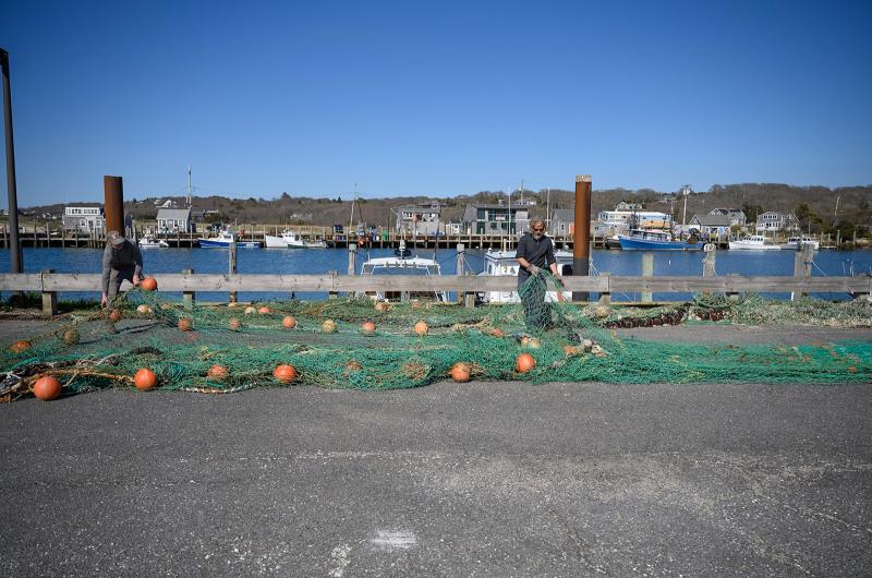 Springtime working waterfront.