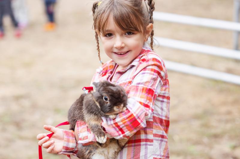 Adelynn Rose with a pet rabbit.