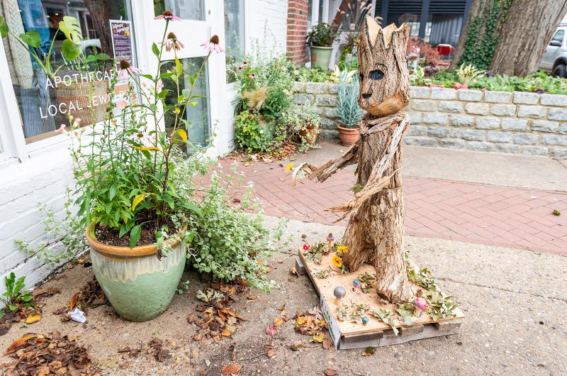 The Trust Shop in Vineyard Haven.