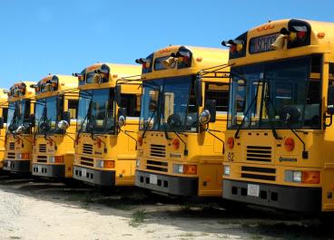 school buses