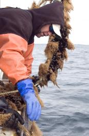 fisherman