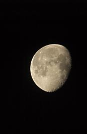 gibbous moon