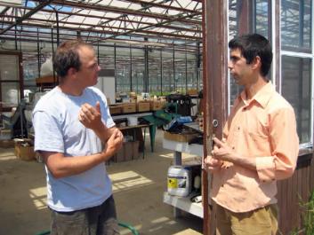 greenhouse