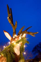 reindeer