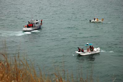 boats